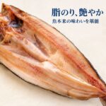 HKK1000